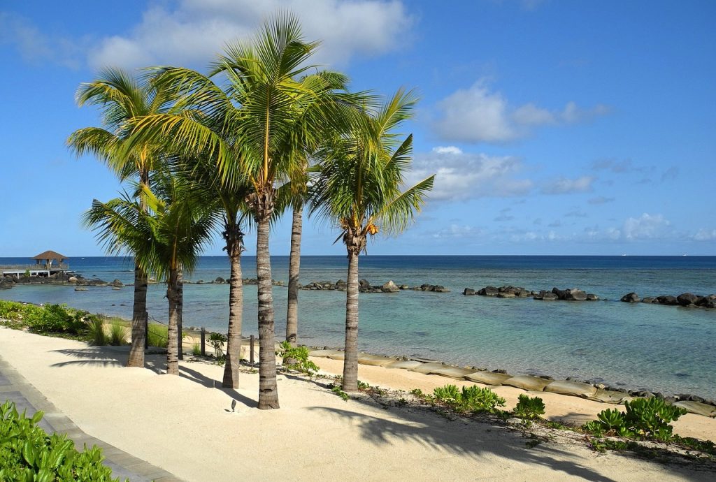 Palmy, plaża, ocean, Mauritius